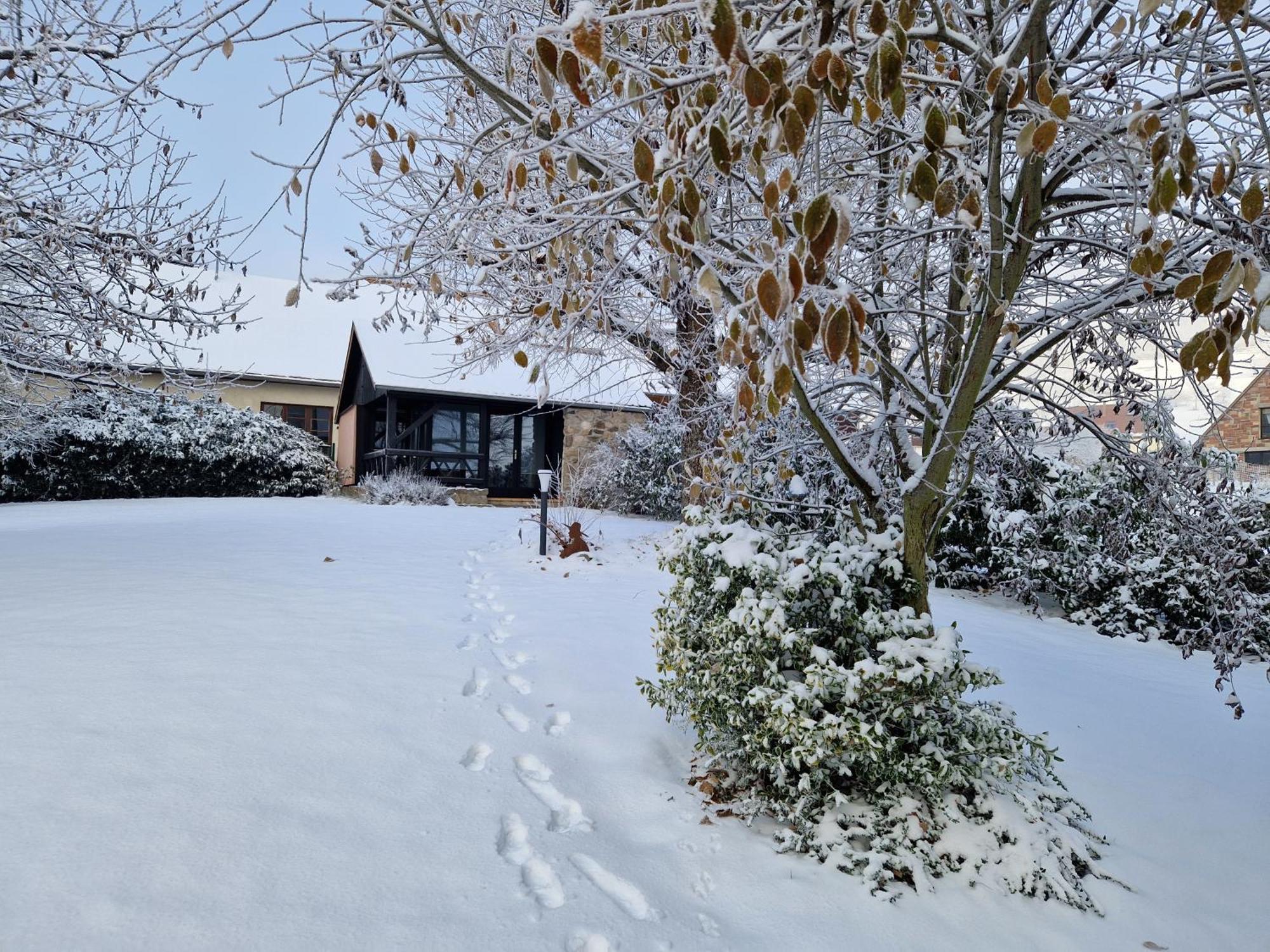 Le Breit Maison De Charme Avec Sa Dependance Breitenbach Extérieur photo