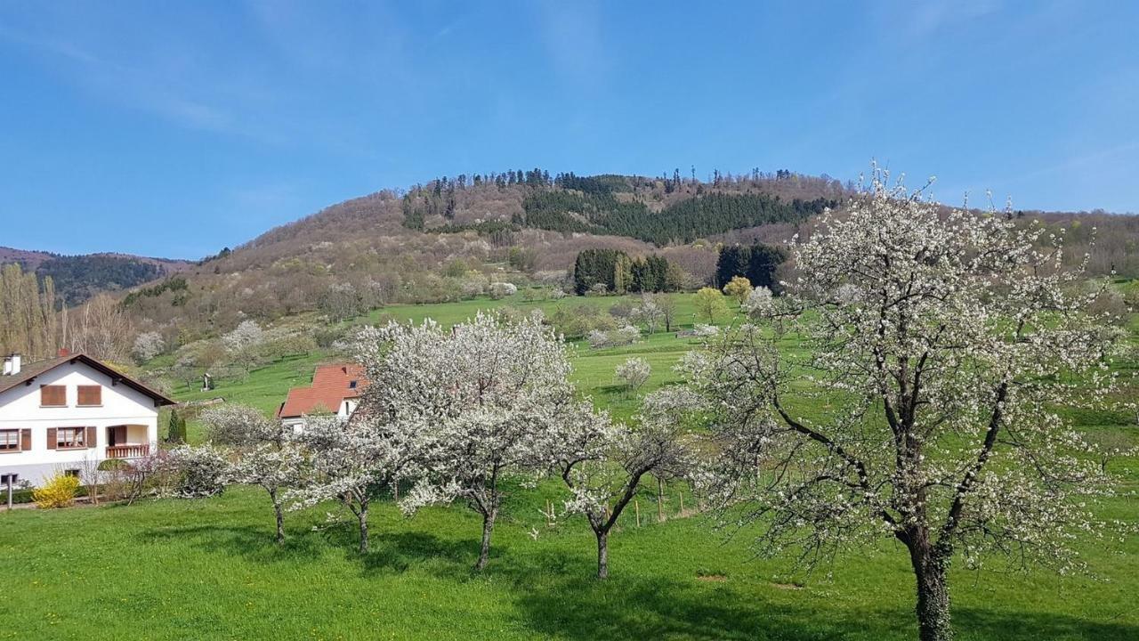 Le Breit Maison De Charme Avec Sa Dependance Breitenbach Extérieur photo
