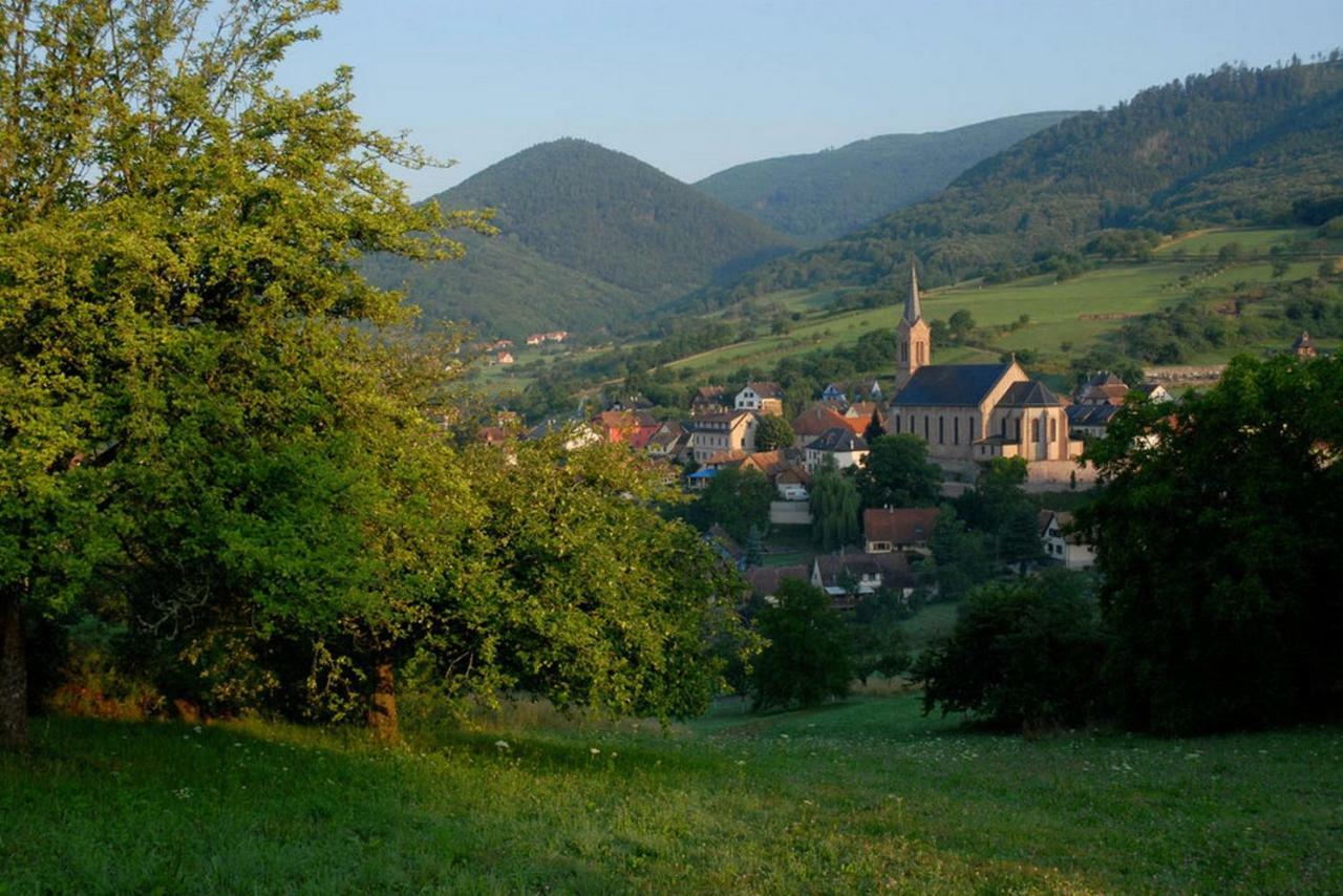 Le Breit Maison De Charme Avec Sa Dependance Breitenbach Extérieur photo